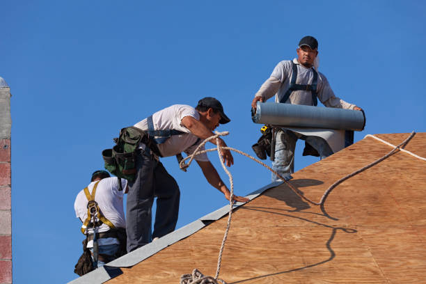 Best Gutter Installation and Roofing  in Duson, LA